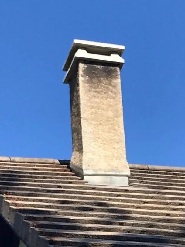 Réfection d’une souche et de son chapeau : après